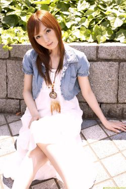 《金花瓶楷梅花2》