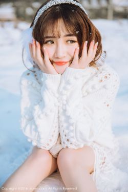 中餐厅第五季在线观看