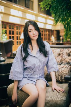 《金花瓶楷梅花2》